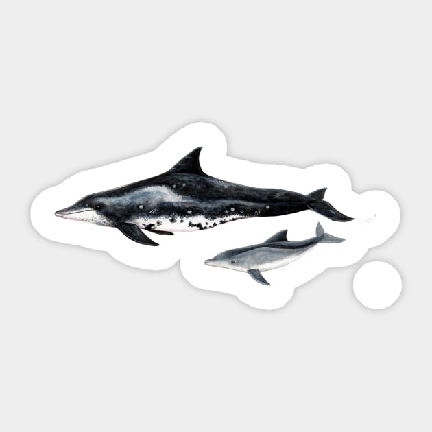 Rough-toothed dolphin Sticker by chloeyzoard